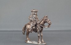WSS Mounted Officer Horse stood