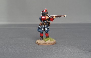 Grenadier of Spanish Guards WSSGSG01