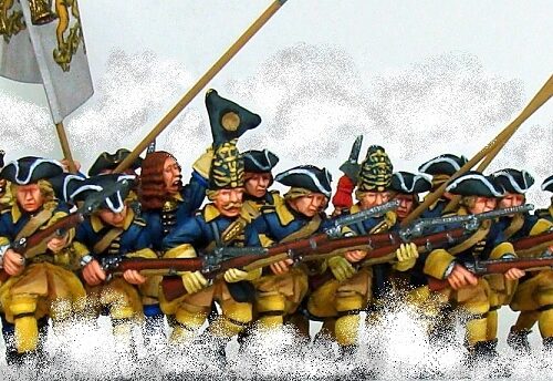 DSC00765 GNW Swedish foot Regiment