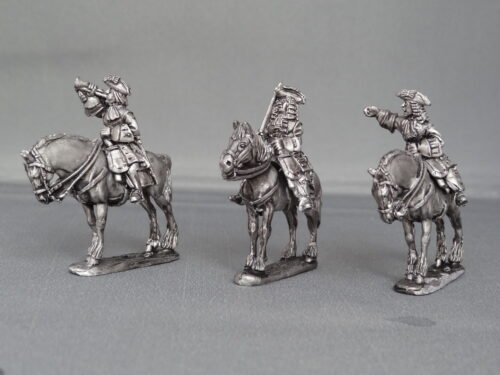 DSC02193 WSS Mounted Command Horses stood