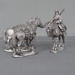 WSS French Dragoon regiment Dismounted