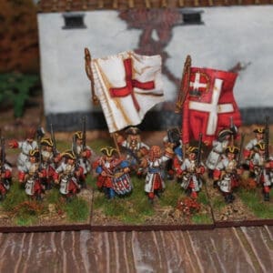 Foot Regiment marching