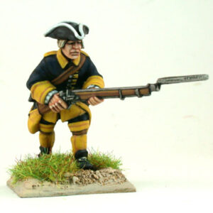 GNW Swedish foot Regiment