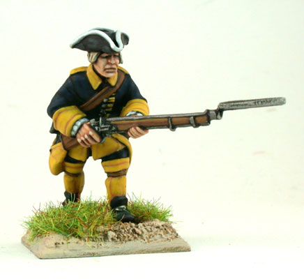 GNW Swedish foot Regiment