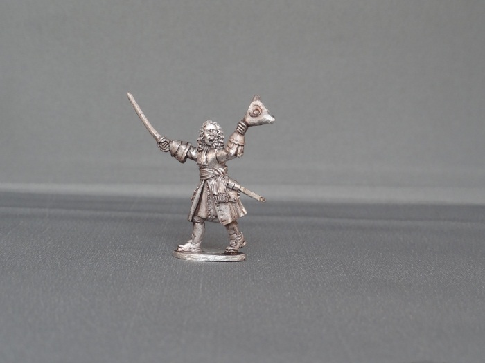 Officer of Foot wsso01