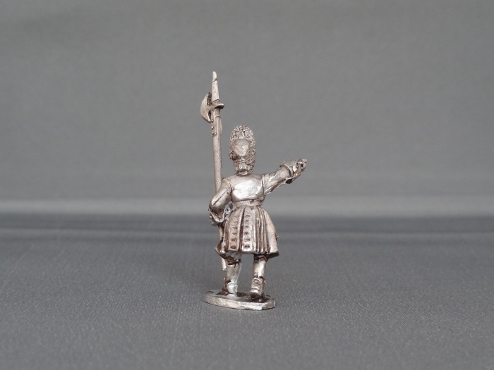 Grenadier Sergeant marching wssgs02